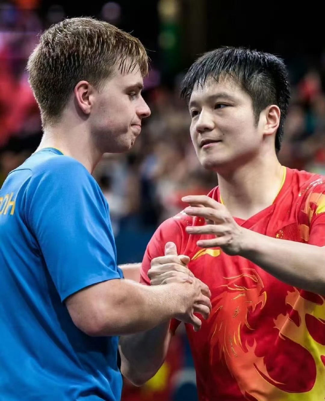爱游戏下载-波兰队力克中国队，樊振东惊艳四座