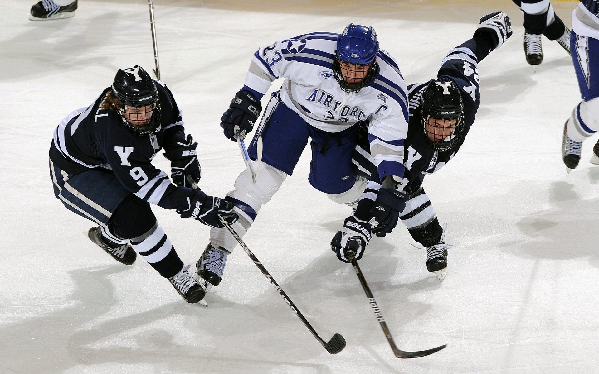 上海队争冠战,东方力量与未来之星的交汇